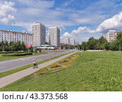 Велосипедист едет по тротуару вдоль Центрального проспекта подмосковного города Зеленограда. Зеленый газон с цветами, жилые дома, голубое небо, белые облака, лето. (2024 год). Стоковое фото, фотограф Сергей Никифоров-Гордеев / Фотобанк Лори