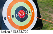 Archery targets. The arrow hits 10. Success target customer online marketing consultants. Dartboard arrow hitting in center. Business achievement concept. Straight to the aim symbol. Goal, shot, hit. Стоковое видео, видеограф Марина Демидюк / Фотобанк Лори