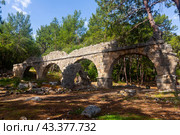 Fragment of Roman aqueduct of ancient Lycian Mediterranean port of Phaselis, Turkey. Стоковое фото, фотограф Яков Филимонов / Фотобанк Лори