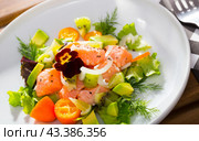 Ceviche from salmon with avocado, cumquat and green dill at plate with flower. Стоковое фото, фотограф Яков Филимонов / Фотобанк Лори