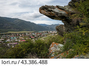 Село Чемал, Республика Алтай, Сибирь, Россия. Вид с горного склона на алтайское село Чемал. На переднем плане скалы. Вдали дома и горы. Красивый сельский пейзаж. Путешествие на Алтай. Стоковое фото, фотограф Андрей Степанов / Фотобанк Лори