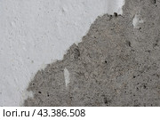Torn old faded paper wallpaper with a retro pattern. Tattered scraps of paper on a concrete wall. Vintage texture for background and design. Closeup view with copy space. High resolution. Стоковое фото, фотограф Андрей Степанов / Фотобанк Лори