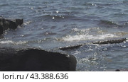 Лето, солнце, волны бьются о камни, море  summer, sun, waves hitting rocks, sea. Стоковое видео, видеограф Опока Алексей / Фотобанк Лори