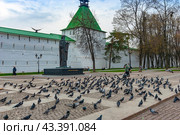 Город Сергиев Посад. Троице-Сергиева лавра.. Стая голубей у памятника Сергию Радонежскому (2024 год). Редакционное фото, фотограф Зобков Юрий / Фотобанк Лори