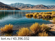 Landscape photo of Laguna Colorada lake with dry vegetation at Andes mountains background. Scenery view of Bolivia in natural wilderness. Bolivian nature landmarks concept. Copy ad text space, poster. Стоковое AI-изображение, AI-художник Aleksandr Golubev / Фотобанк Лори