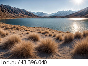 Landscape photo of Laguna Colorada lake with dry vegetation at Andes mountains background. Scenery view of Bolivia in natural wilderness. Bolivian nature landmarks concept. Copy ad text space, poster. Стоковое AI-изображение, AI-художник Aleksandr Golubev / Фотобанк Лори
