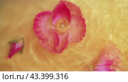 Flowers on Yellow Golden Shiny Background. Paints, Acrylic, Glitter in Water. Flowers in Yellow Golden Shiny Liquid Surface, Ripples, Waves. Стоковое видео, видеограф Ольга Ильина / Фотобанк Лори