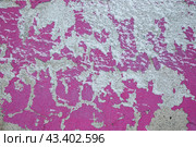 Peeling paint on the wall. Old concrete wall with cracked flaking paint. Weathered rough painted surface with patterns of cracks and peeling. High resolution texture for background and design. Closeup. Стоковое фото, фотограф Андрей Степанов / Фотобанк Лори