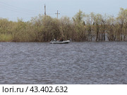 Спасатель на резиновой лодке. Разлив Тобола в 2024 году. Редакционное фото, фотограф Анатолий Матвейчук / Фотобанк Лори