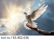 A white dove on hand against a blue sky background. Стоковое AI-изображение, AI-художник Виктория Тельминова / Фотобанк Лори