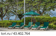 A row of sun beds with soft mattresses stands under a beach umbrella. Green tropical vegetation is nearby. The ocean is visible in the distance. Clouds in the blue sky. Malaysia. Borneo. Kota Kinabalu. Стоковое фото, фотограф Вера Ивановна Кубарева / Фотобанк Лори