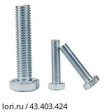 Металлические винты на белом фоне. Screws isolated on white background. Стоковое фото, фотограф Татьяна Д / Фотобанк Лори