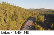 Asphalt roadway on a sunny autumn day. Road through autumn forest, aerial view. Стоковое видео, видеограф Виктория Тельминова / Фотобанк Лори