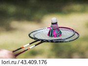 A racket and a shuttlecock on a background of green grass. Playing badminton. A summer sport. Outdoor games. Стоковое фото, фотограф Photojuli / Фотобанк Лори