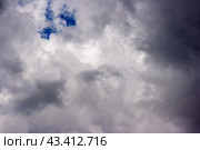 Storm cloud on sunny day. Стоковое фото, фотограф Радомир Тарасов / Фотобанк Лори