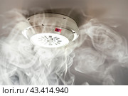 Fire Alarm, Smoke Detector, Fire Detector in Action. Safety Device Installed at Ceiling. Smart Home Security System in Hotel, Apartment Room, Office. For Service Engineering Company Site, Advertising. Стоковое AI-изображение, AI-художник Марина Демидюк / Фотобанк Лори