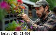 Man in Plaid Shirt Tending to Blooming Flowers on a Wall. Стоковое AI-изображение, AI-художник Сергей Толмачёв / Фотобанк Лори