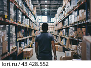 Молодой человек на складе продукции. Стоковое AI-изображение, AI-художник Щеголева Ольга / Фотобанк Лори