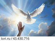 A hand and a flying white dove in the blue sky. The concept of freedom, International Day of Peace. Стоковое AI-изображение, AI-художник Виктория Тельминова / Фотобанк Лори