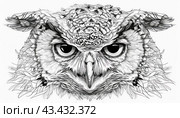 Black and white owl head drawing on white background with keywords hair, bird, eye, screech owl. Стоковое AI-изображение, AI-художник Юрий Поздников / Фотобанк Лори