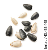 Flying sunflower seeds isolated on white background. Set for cereal and snacks. Стоковое фото, фотограф Катерина Ковалева / Фотобанк Лори
