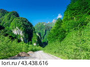 Karmadon Gorge. North Ossetia - Alania. Caucasus. Russia. Стоковое фото, фотограф Константин Лабунский / Фотобанк Лори