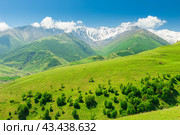green valley of the Karmadon gorge with a view of the Kolka glacier of the Kazbek volcano of the main Caucasian ridge. Russia. Стоковое фото, фотограф Константин Лабунский / Фотобанк Лори