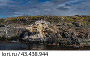 A colony of sea lions is resting, lying on the slope of a rocky islet. Cormorants are nearby. Sparse grassy vegetation on the cliff. Clouds in the blue sky. Isla de los Lobos. The Beagle Channel. Стоковое фото, фотограф Вера Ивановна Кубарева / Фотобанк Лори