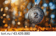 Silver medal with number two for 2nd place laurel wreath on festive background with confetti, symbol of winner, celebration, sport competition, champion games. Стоковое AI-видео, аниматор Ирина Михайличенко / Фотобанк Лори