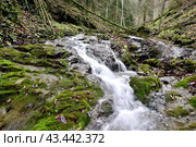 Водопад на реке Мезмайка, Мезмай, Краснодарский край. Стоковое фото, фотограф Оглоблин Андрей Николаевич / Фотобанк Лори