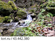 Водопад на реке Мезмайка, Мезмай, Краснодарский край. Стоковое фото, фотограф Оглоблин Андрей Николаевич / Фотобанк Лори
