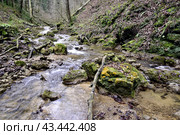 Водопад на реке Мезмайка, Мезмай, Краснодарский край. Стоковое фото, фотограф Оглоблин Андрей Николаевич / Фотобанк Лори