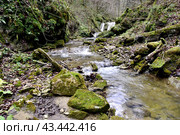 Водопад на реке Мезмайка, Мезмай, Краснодарский край. Стоковое фото, фотограф Оглоблин Андрей Николаевич / Фотобанк Лори