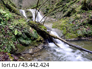 Водопад на реке Мезмайка, Мезмай, Краснодарский край. Стоковое фото, фотограф Оглоблин Андрей Николаевич / Фотобанк Лори