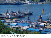 Владивостокский морской рыбный порт (2024 год). Редакционное фото, фотограф Яна Савинова / Фотобанк Лори