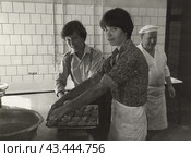 Студотряд, студентки на практике в столовой ЛИИЖТ 1963 г. Стоковое фото, фотограф Retro / Фотобанк Лори