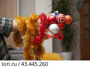 Christmas toys with tinsel hanging on a hairy leg in pajamas stand for dressing up the Christmas tree. Стоковое фото, фотограф Дмитрий Львович Алферов / Фотобанк Лори