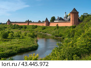 View of the Spaso-Evfimiev Monastery (a monastery of the Vladimir Diocese of the Russian Orthodox Church) on the bank of the Kamenka River on a sunny summer day, Suzdal, Vladimir region, Russia. Стоковое фото, фотограф Ula Ulachka / Фотобанк Лори