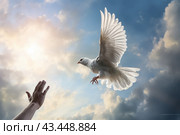 A hand and a flying white dove in the blue sky. The concept of freedom, International Day of Peace. Стоковое AI-изображение, AI-художник Виктория Тельминова / Фотобанк Лори