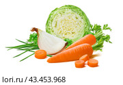 Vegetable set: cabbage, onion, carrot, scallion isolated on white background. Стоковое фото, фотограф Катерина Ковалева / Фотобанк Лори