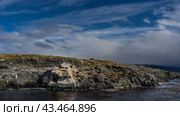 A colony of sea lions rests on the slope of a rocky islet in the Beagle Channel. The cormorants sat down next to each other. Algae on the ocean surface. Clouds in the blue sky. Isla de los lobos. Стоковое фото, фотограф Вера Ивановна Кубарева / Фотобанк Лори