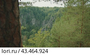 Scenic view of a forested valley with rock formations viewed from a vantage point beside a pine tree. Стоковое видео, видеограф Igor Tichonow / Фотобанк Лори