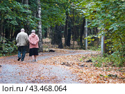 Пожилая пара на прогулке в осеннем парке. Вид со спины.  An elderly couple is walking in the autumn park. View from the back. Стоковое фото, фотограф Лариса Гордеева / Фотобанк Лори