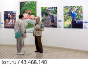 Фотограф Александр Авалов с посетителями на выставке своих работ. Фотопроект «Экзотические птицы», приуроченный к 160-летию Московского зоопарка. Государственный Дарвиновский музей в городе Москве (2024 год). Редакционное фото, фотограф Румянцева Наталия / Фотобанк Лори