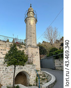Mary's Spring in Ein Karem (2024 год). Стоковое фото, фотограф Irina Opachevsky / Фотобанк Лори