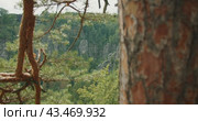 Scenic view of a dense forest with rocky formations and a distant view of the treetops under a clear sky in summer day. Стоковое видео, видеограф Ольга Сухарева / Фотобанк Лори