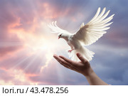A hand and a flying white dove in the blue sky. The concept of freedom, International Day of Peace. Стоковое AI-изображение, AI-художник Виктория Тельминова / Фотобанк Лори