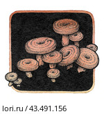 Акварельные рыжики. Hand drawn watercolor mushroom element. Watercolor illustration with saffron milk cap. Graphic icon. Стоковая иллюстрация, иллюстратор Карнаухова Елена / Фотобанк Лори