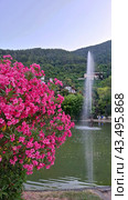 Фонтан "Лучник" .Цветы. Гагра. Абхазия.The fountain "Archer" .Flowers. Gagra. Abkhazia (2024 год). Редакционное фото, фотограф Алла Толочек / Фотобанк Лори