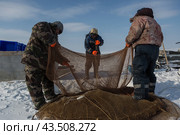 Подледный лов рыбы в Обской губе на Ямале (2018 год). Редакционное фото, фотограф Николай Гернет / Фотобанк Лори